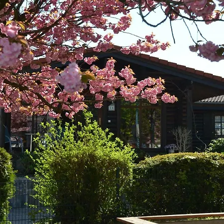 Blockhaus Juka Vinningen